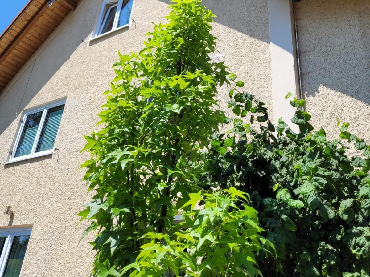 I24Rooms - Gaestezimmer Mit Eigenem Garten Legau Ngoại thất bức ảnh